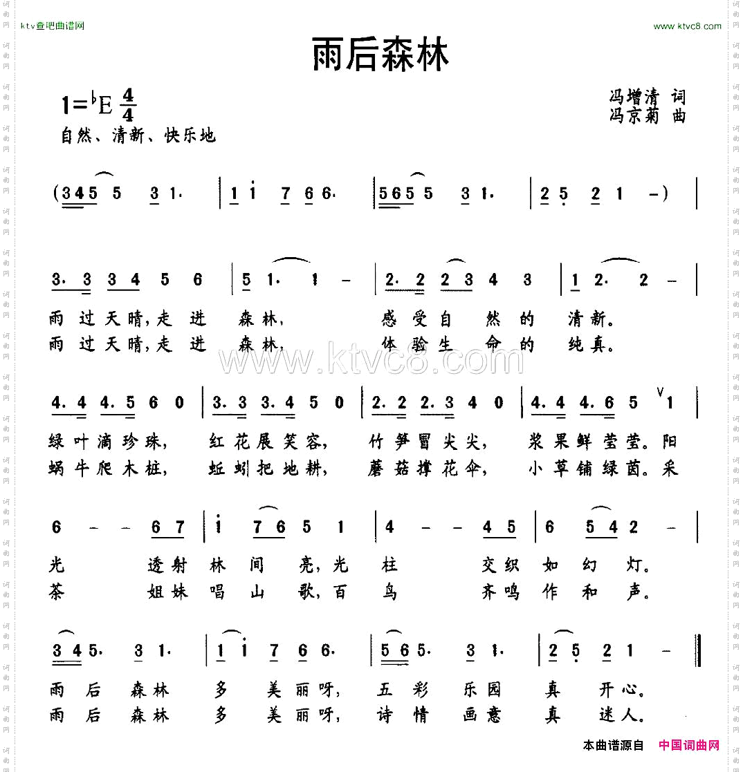 雨后森林