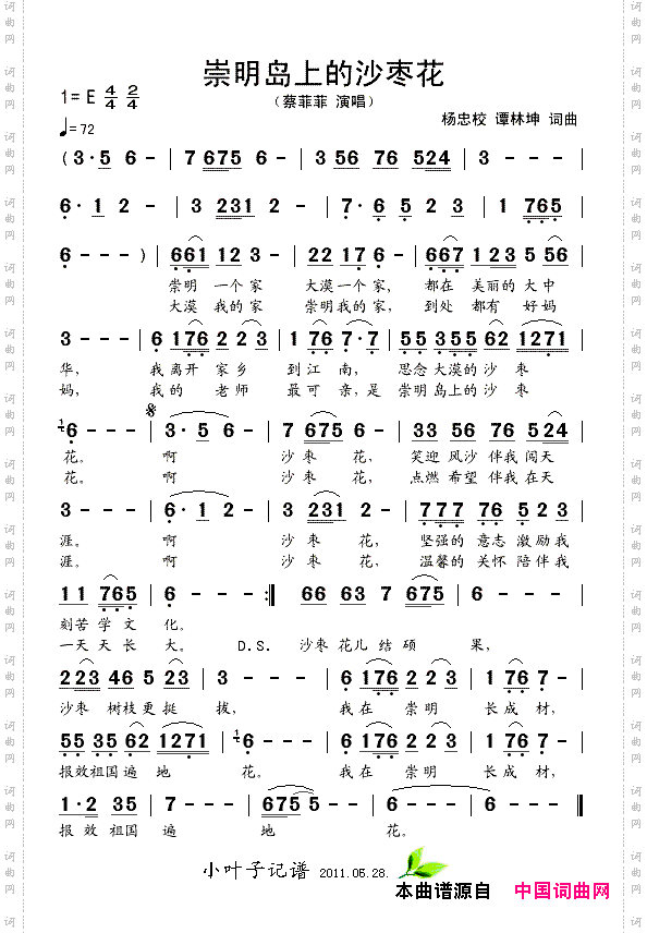 崇明岛上的沙枣花