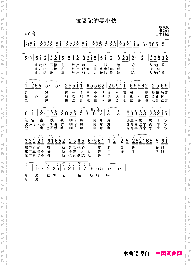 拉骆驼的黑小伙