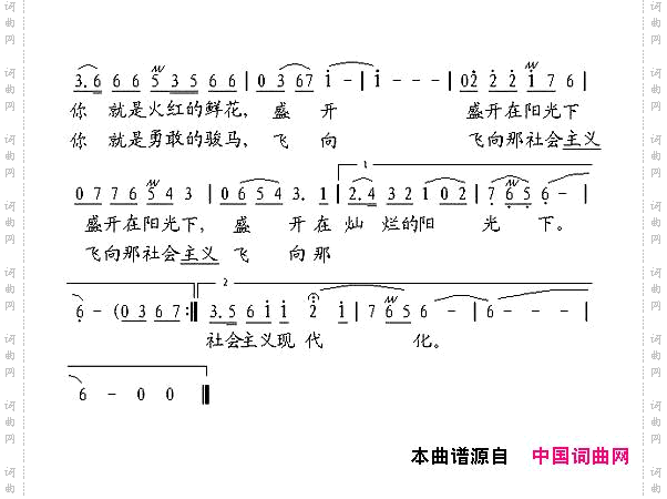 可爱的中华，飞腾的中华