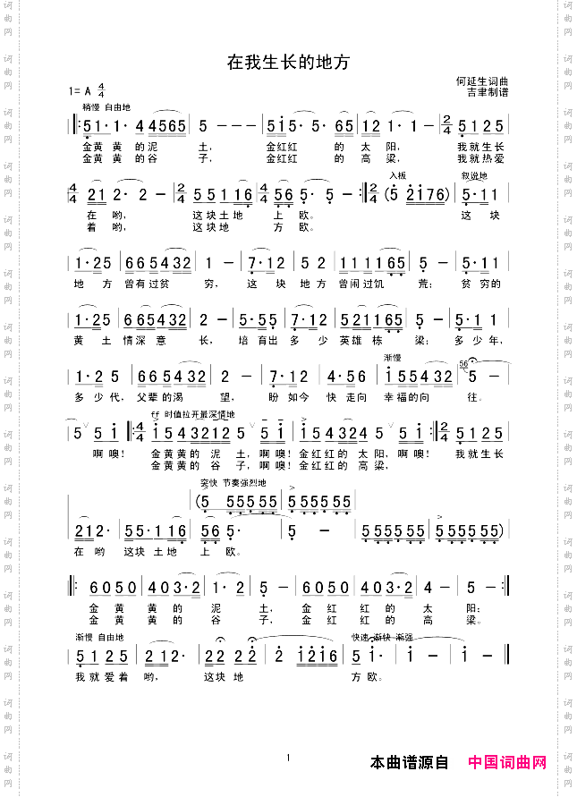 在我生长的地方