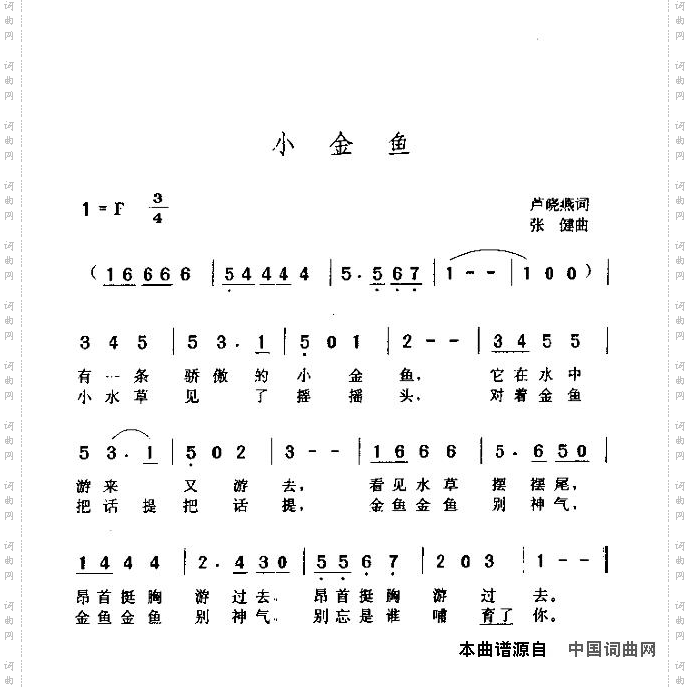 小金鱼