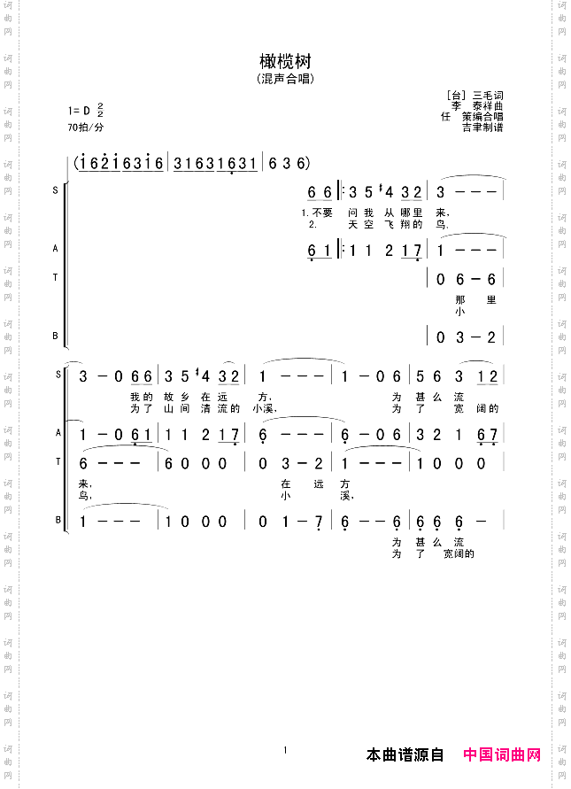 橄榄树