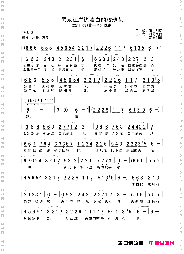 黑龙江岸边洁白的玫瑰花