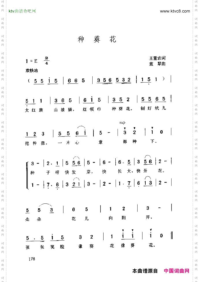 种葵花