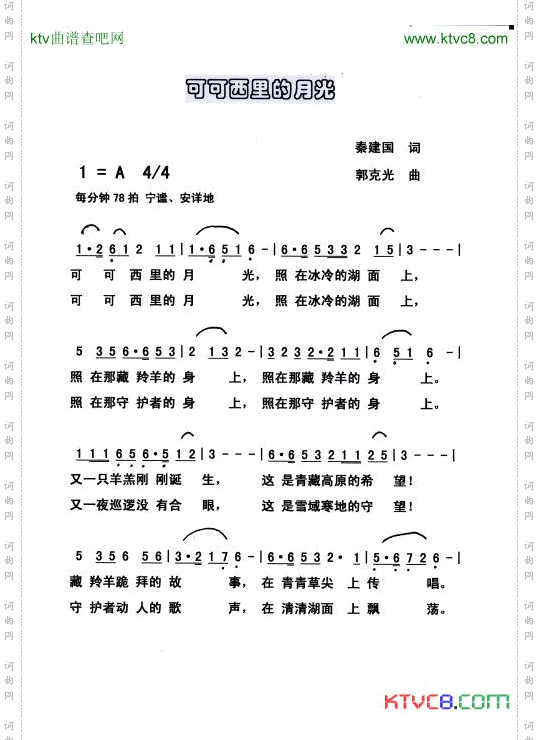 可可西里的月光
