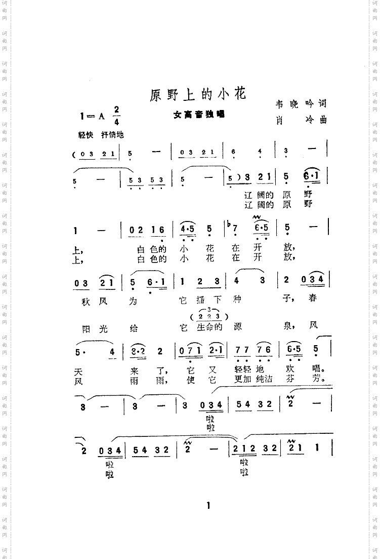 原野上的小花肖冷曲