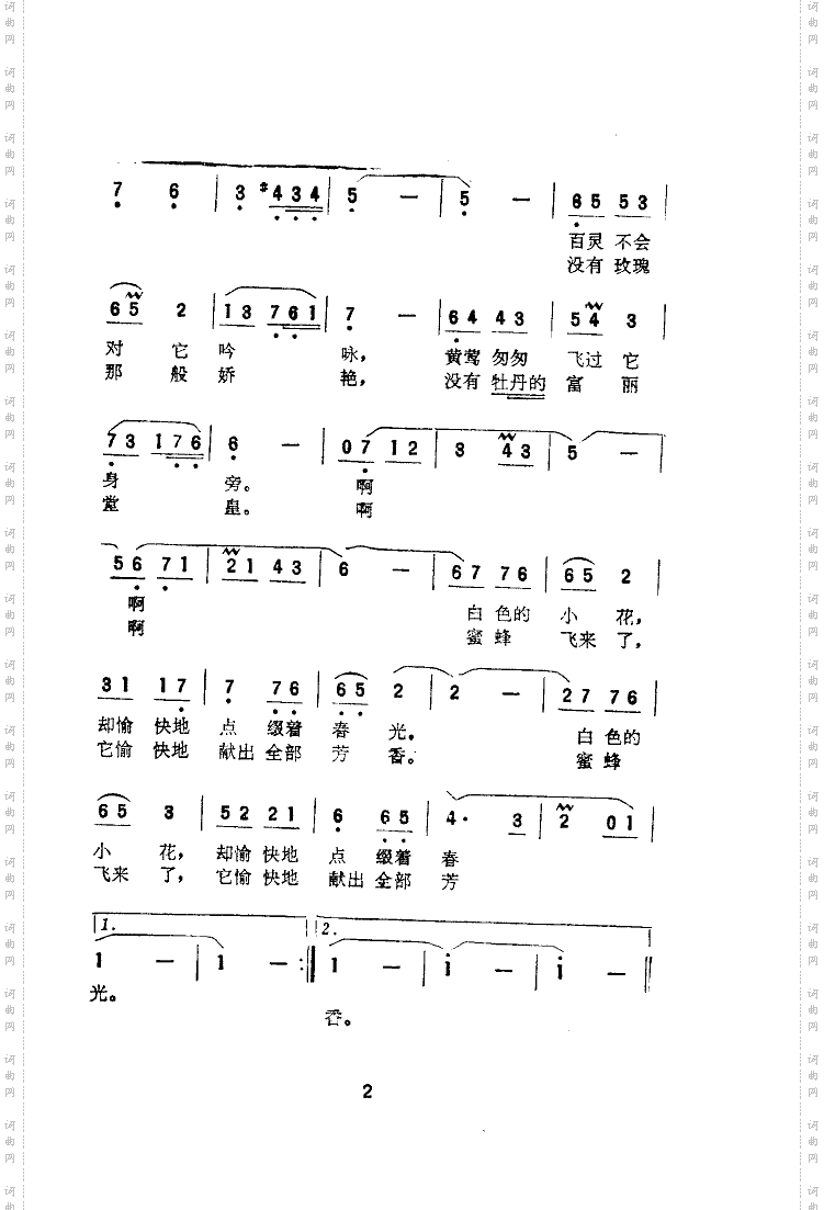 原野上的小花肖冷曲