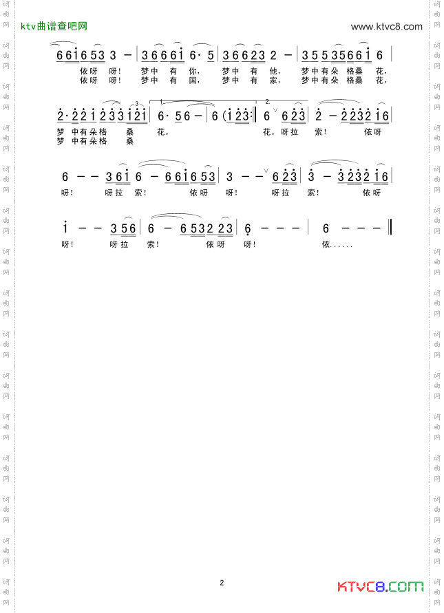 梦中有朵格桑花