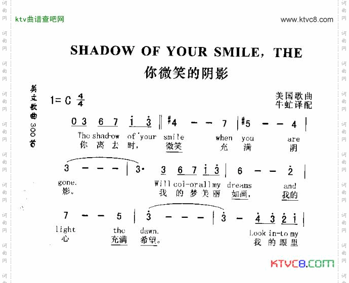 SHADOWOFYOURSMILETHE你微笑的阴影