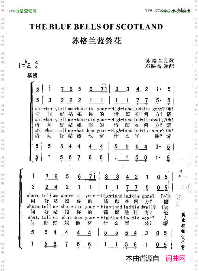 THEBLUEBELLSOFSCOTLAND苏格兰兰玲花