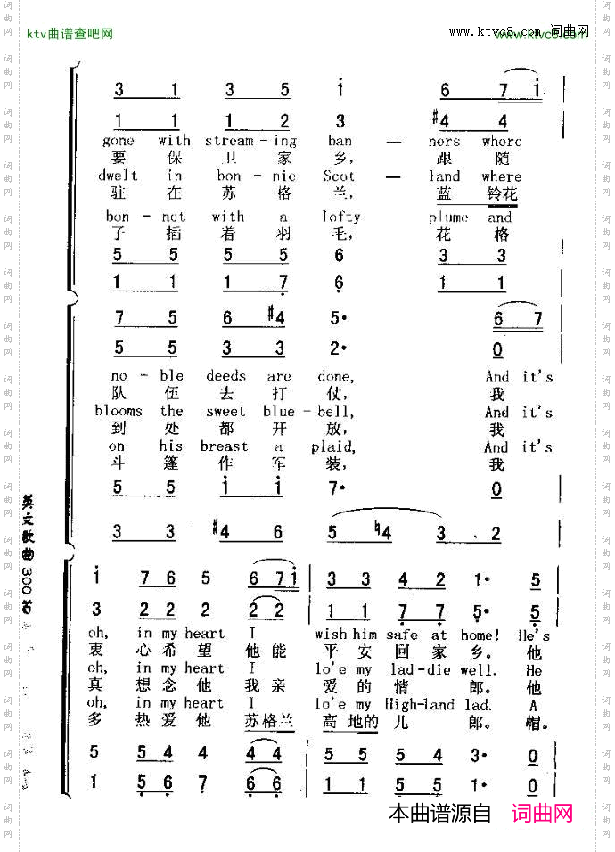 THEBLUEBELLSOFSCOTLAND苏格兰兰玲花