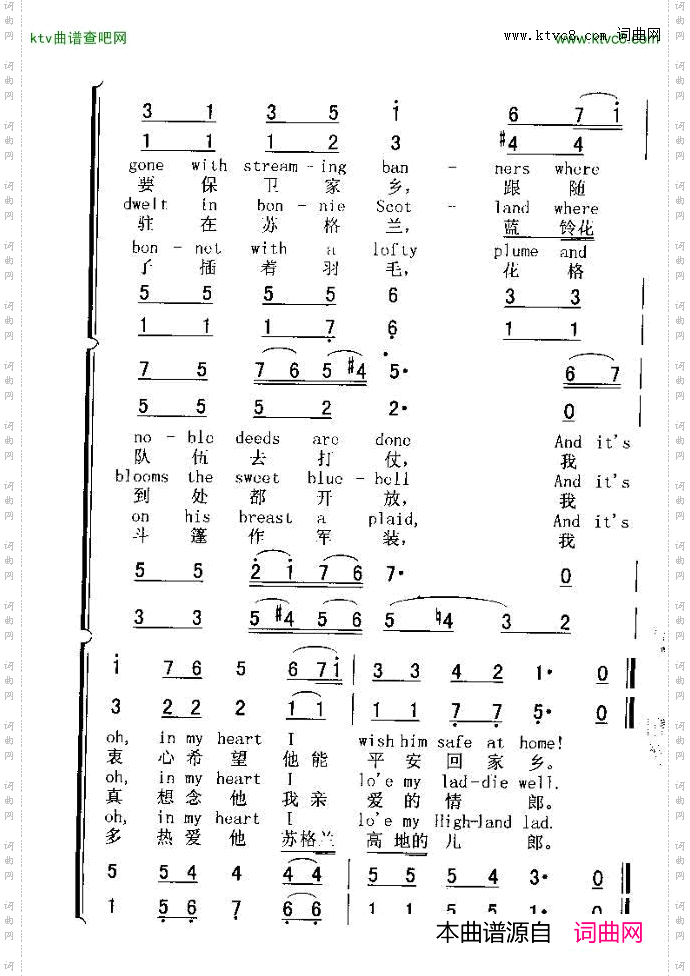 THEBLUEBELLSOFSCOTLAND苏格兰兰玲花