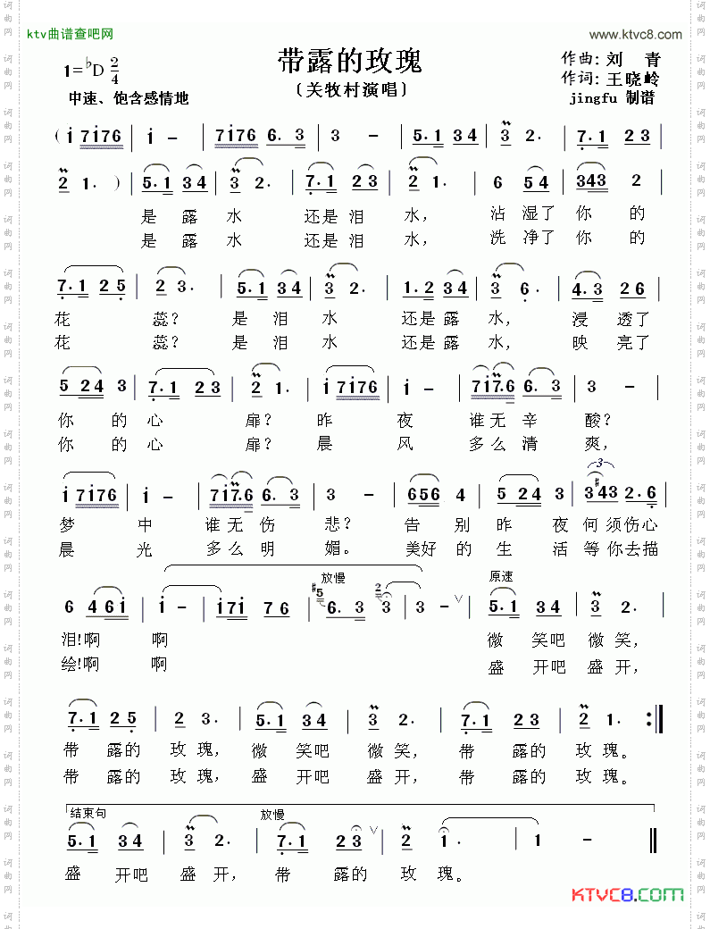 带露的玫瑰