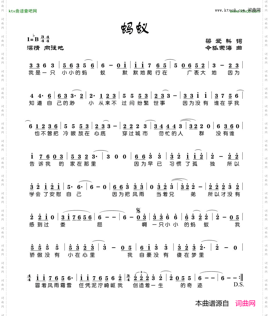 蚂蚁