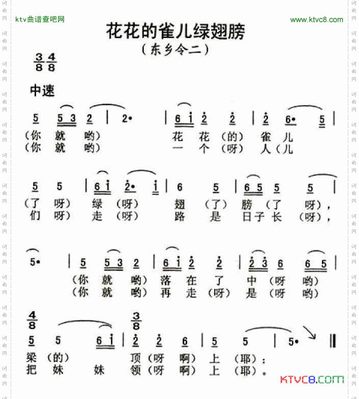 花花的雀儿绿翅膀