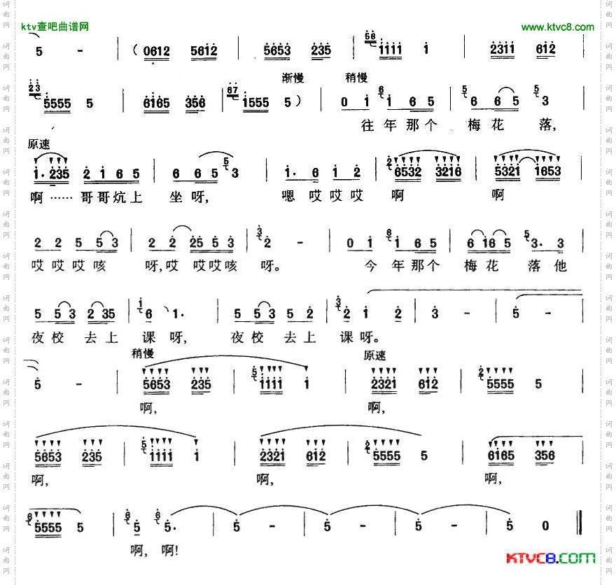 今年梅花开简谱