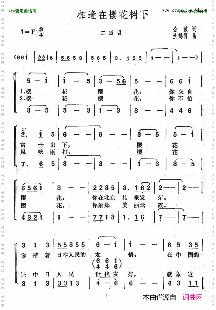 相逢在樱花树下