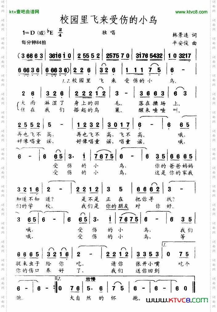 校园来飞来受伤的小鸟