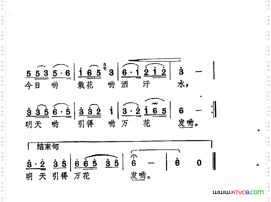 精神文明一枝花