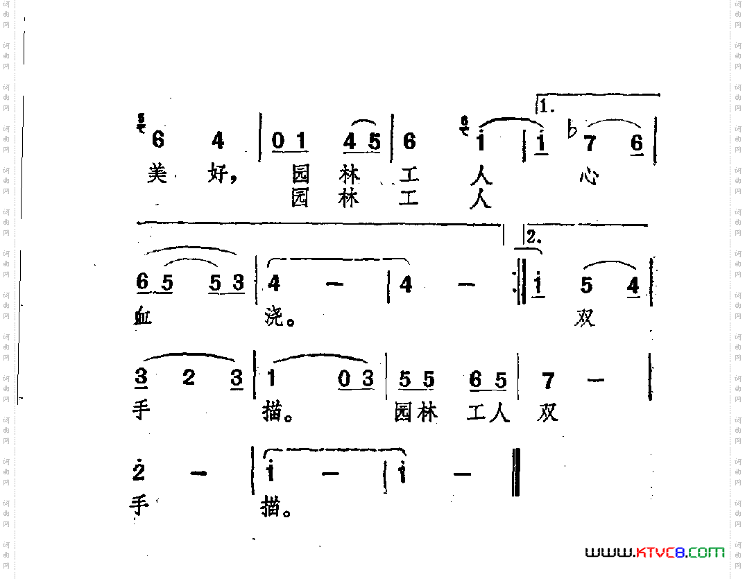 我走过林荫大道