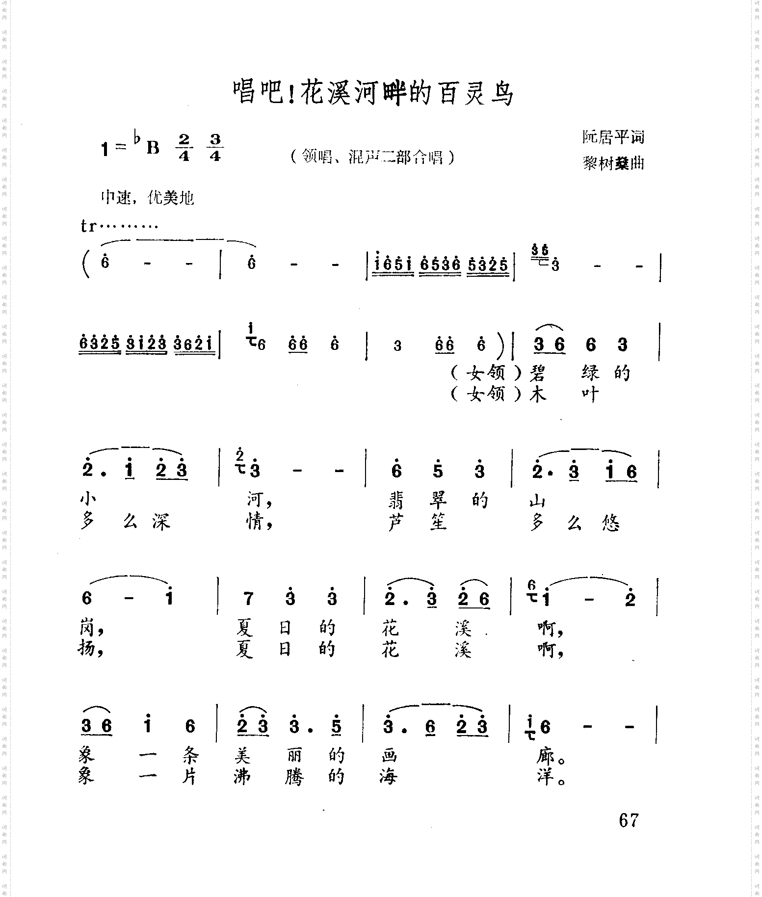唱吧!花溪河畔的百灵鸟