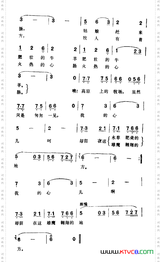 高原上的牧场