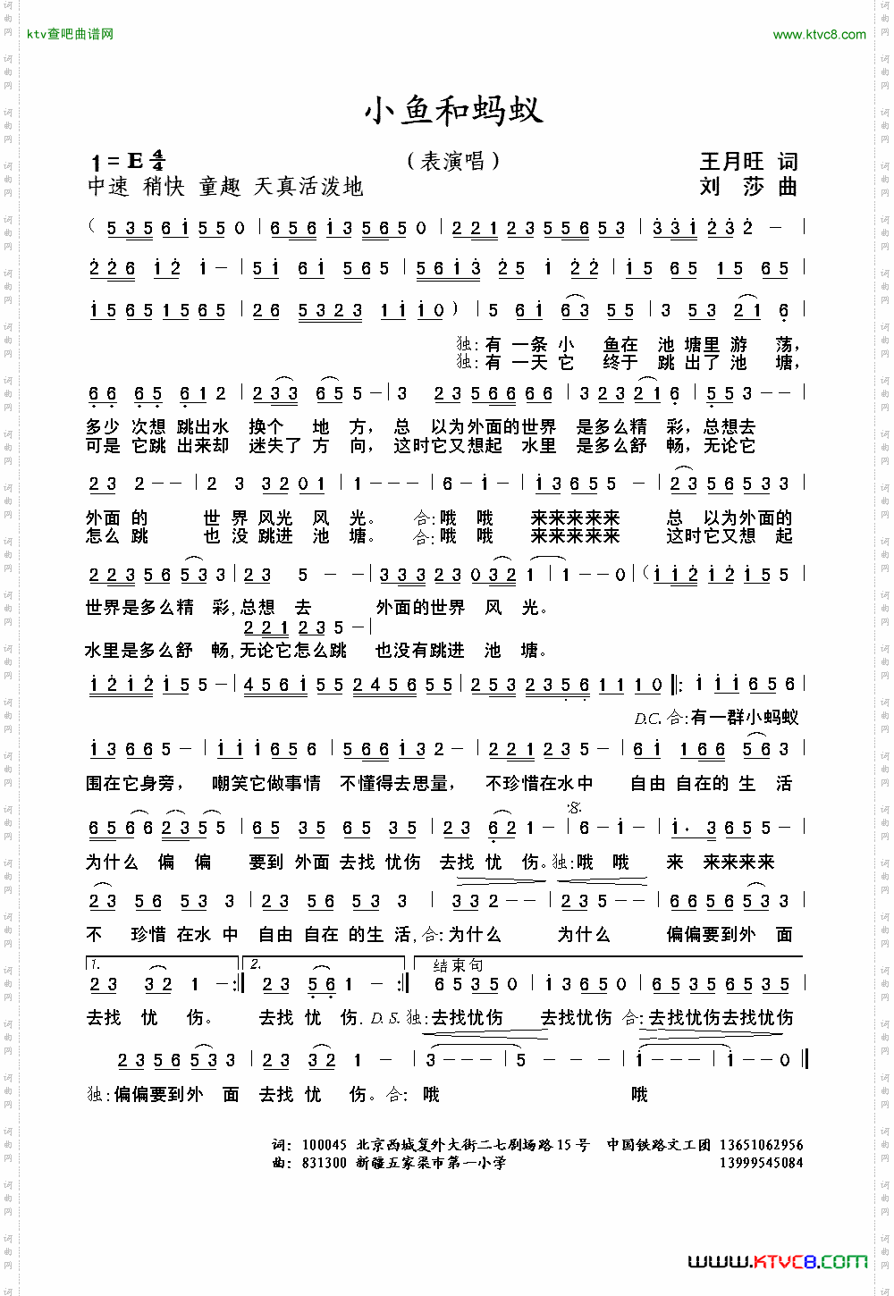 小鱼和蚂蚁