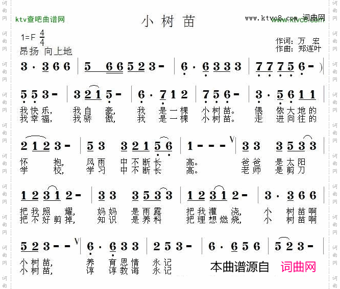 小树苗