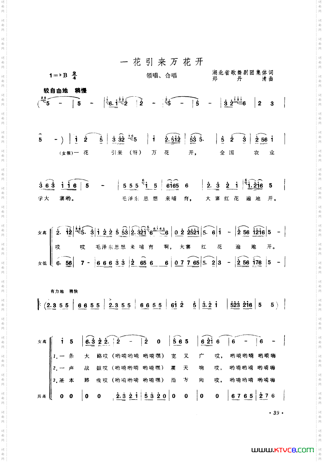 一花引来万花开