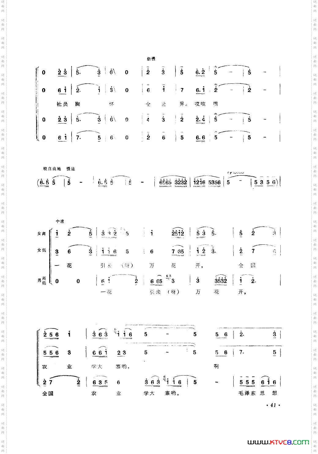 一花引来万花开