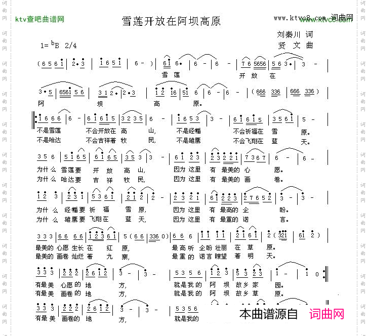 雪莲开放在阿坝高原