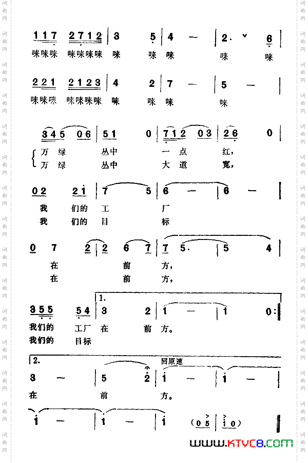 走在林荫大道上