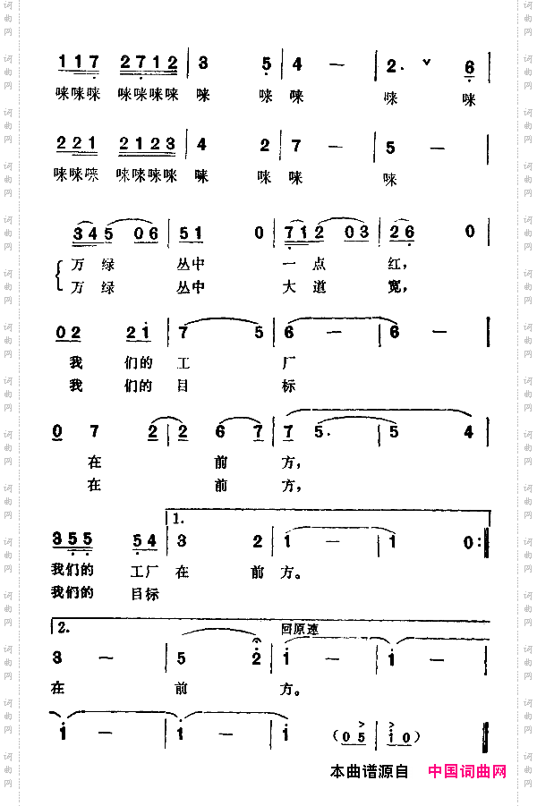 走在林荫大道上