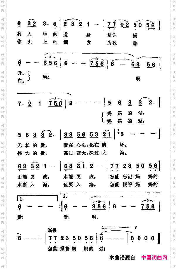 妈妈的爱
