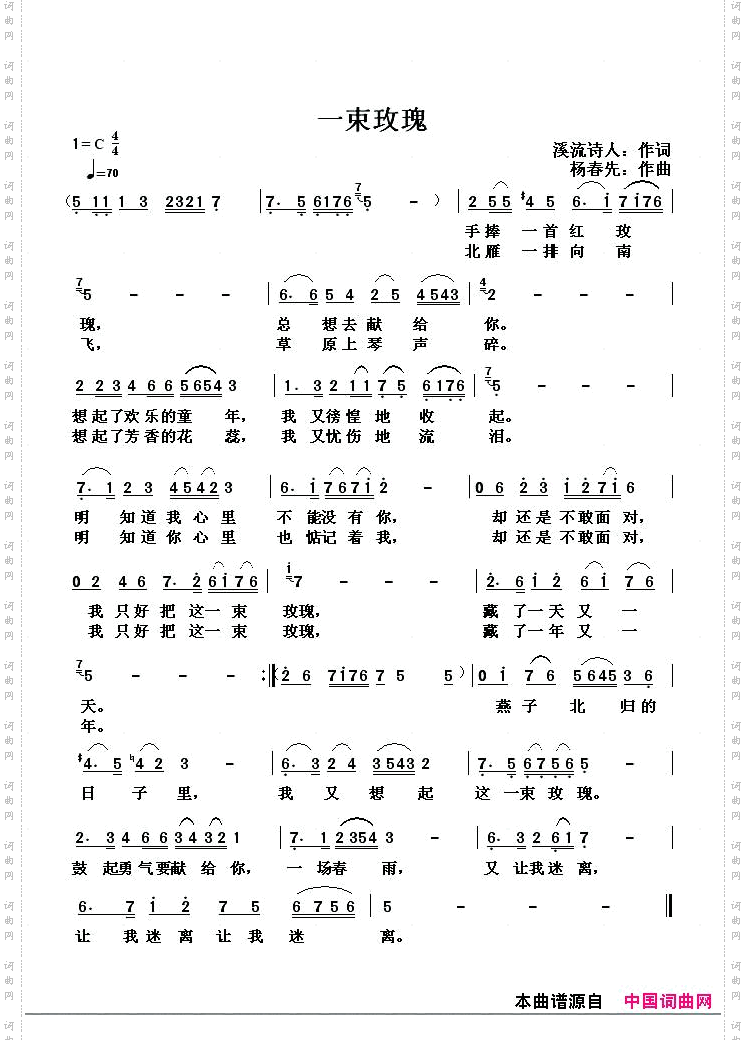 一束玫瑰