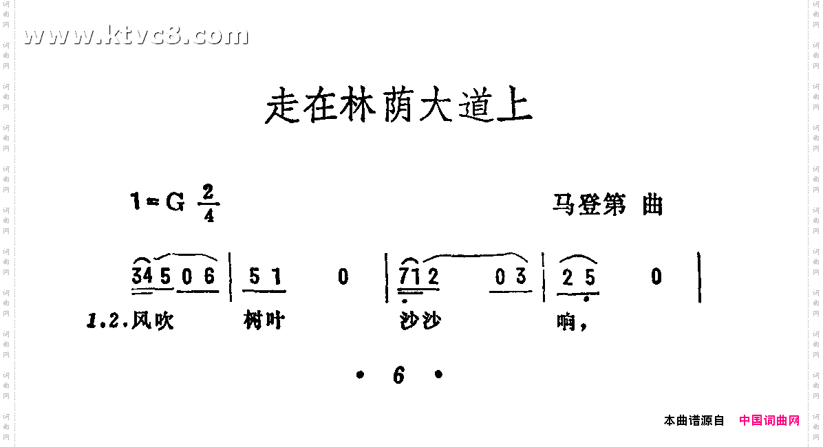 走在林荫大道上