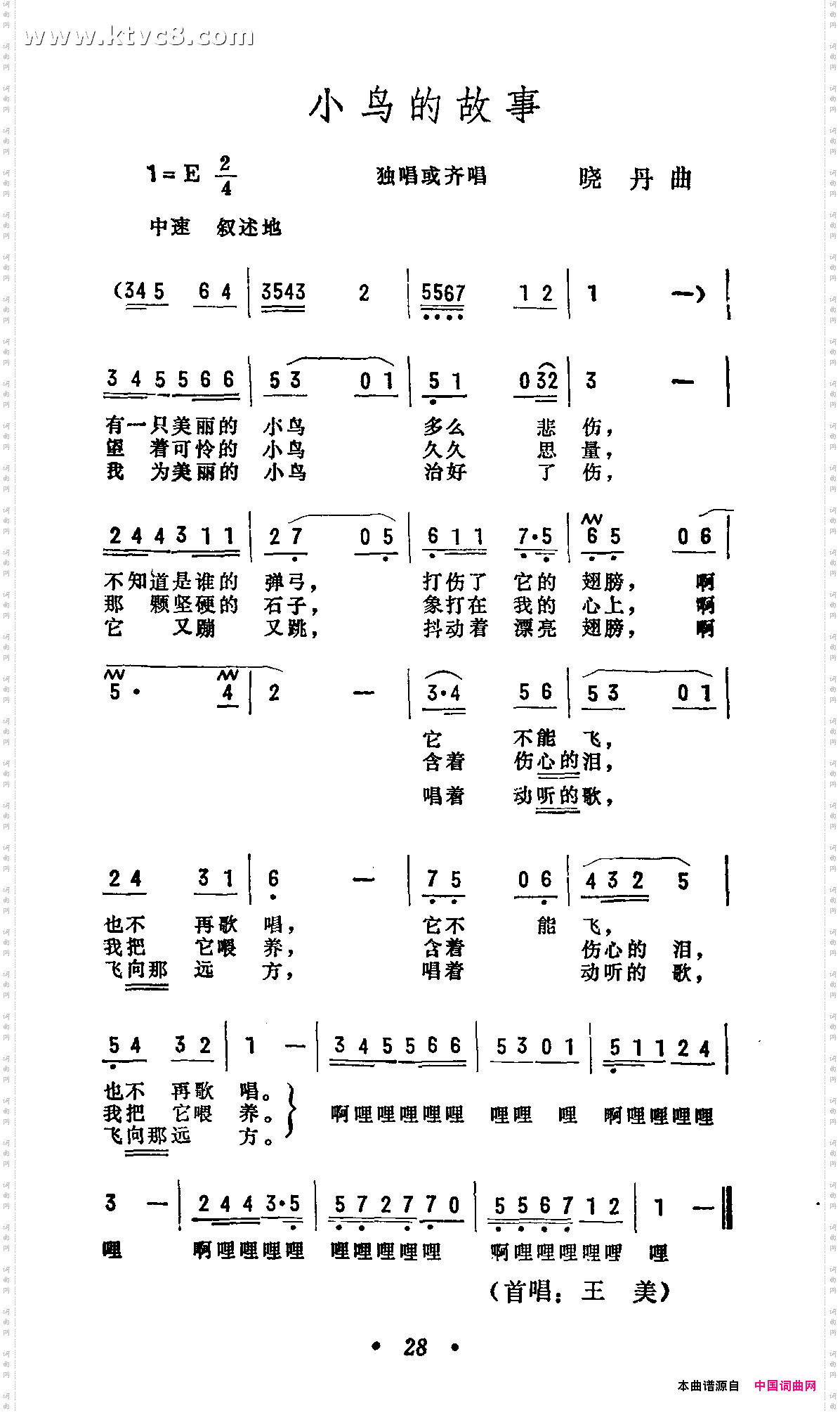 小鸟的故事