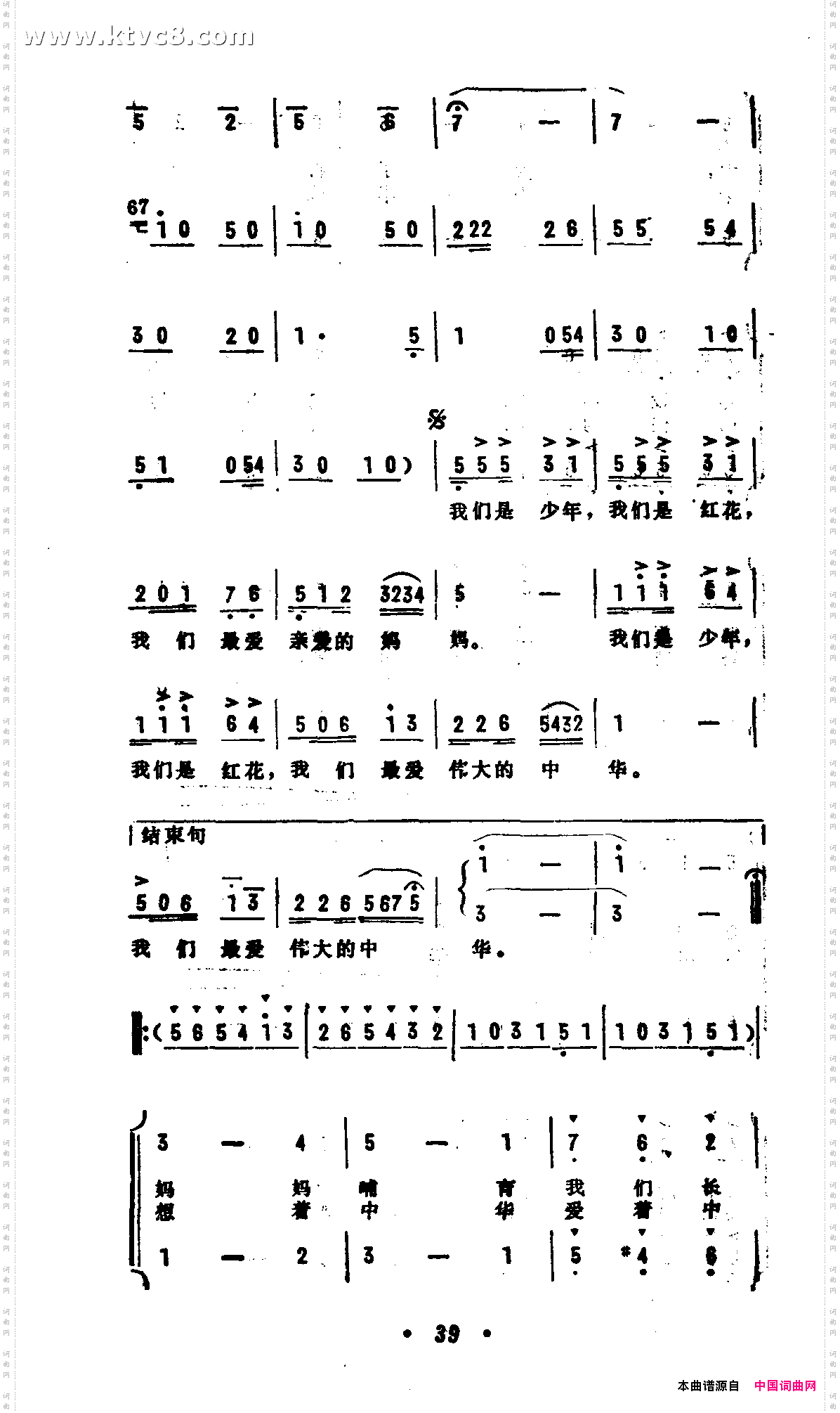 我们是少年,我们是红花