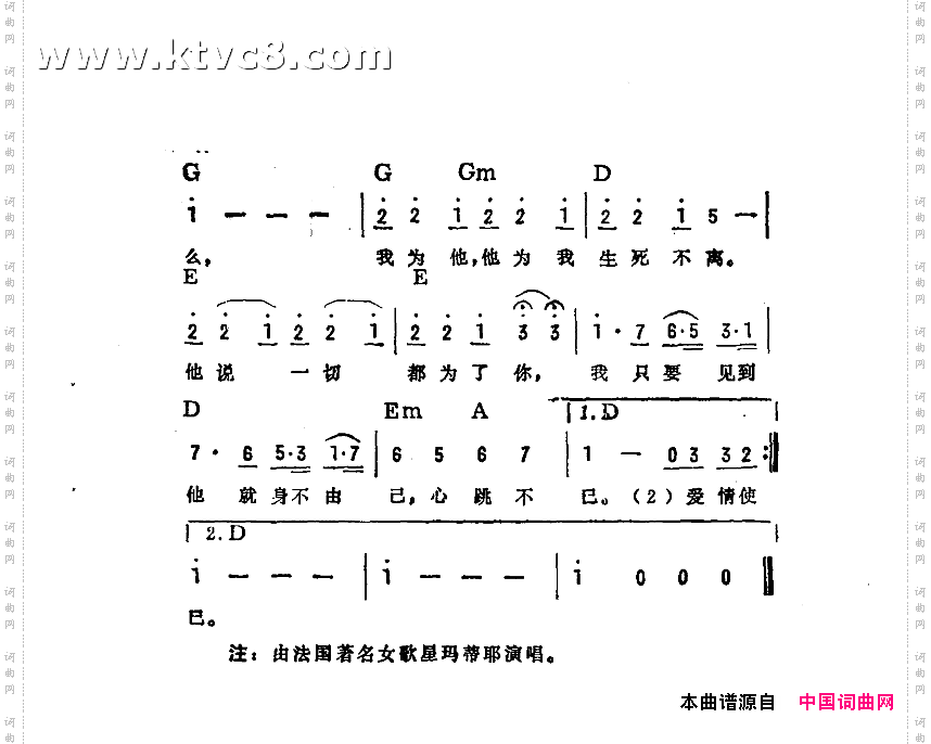 瑰丽的生活
