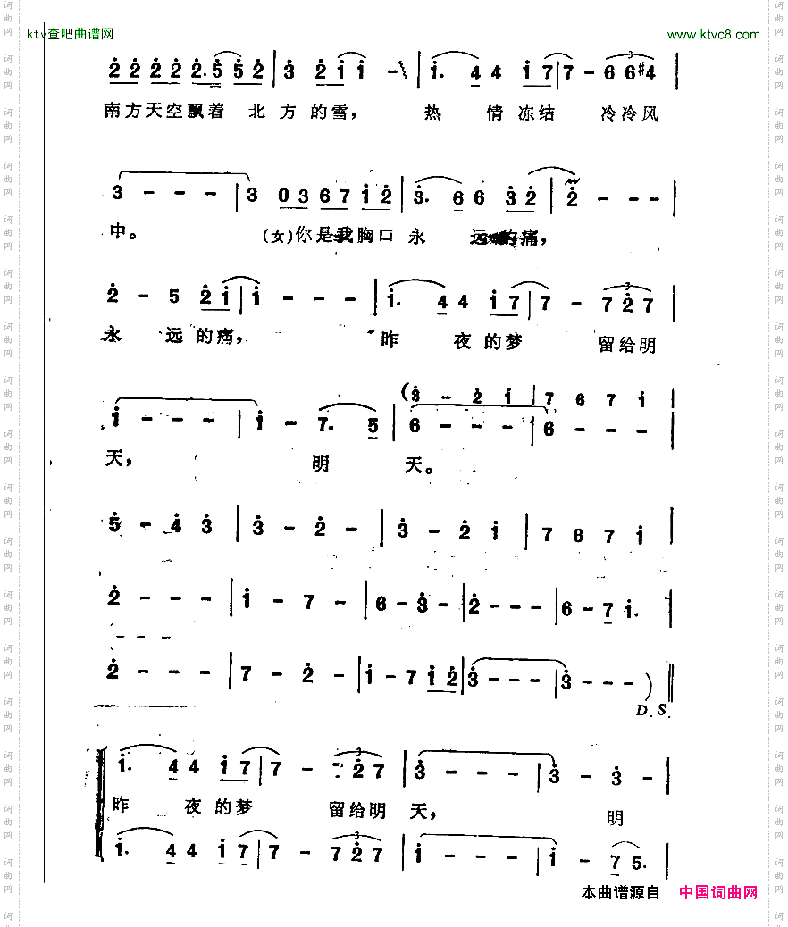 你是我心胸永远的痛