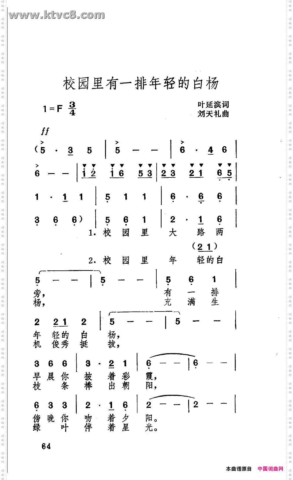 校园里有一排年轻的白杨