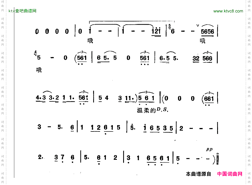 温柔的期待