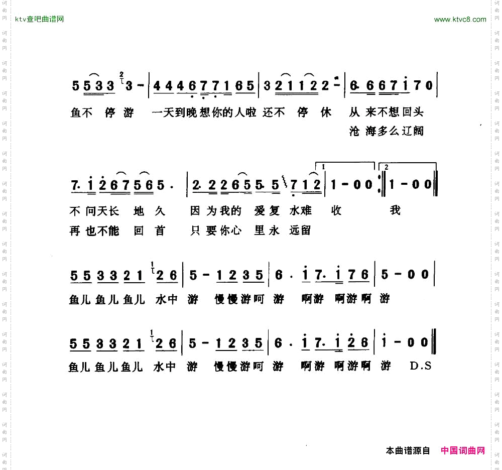 一天到晚游泳的鱼