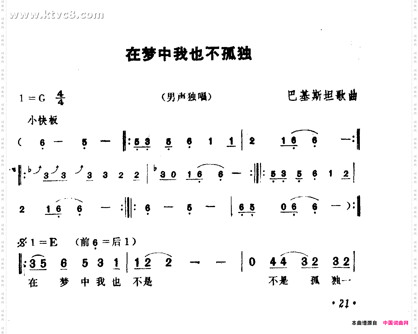 在梦中我也不孤独