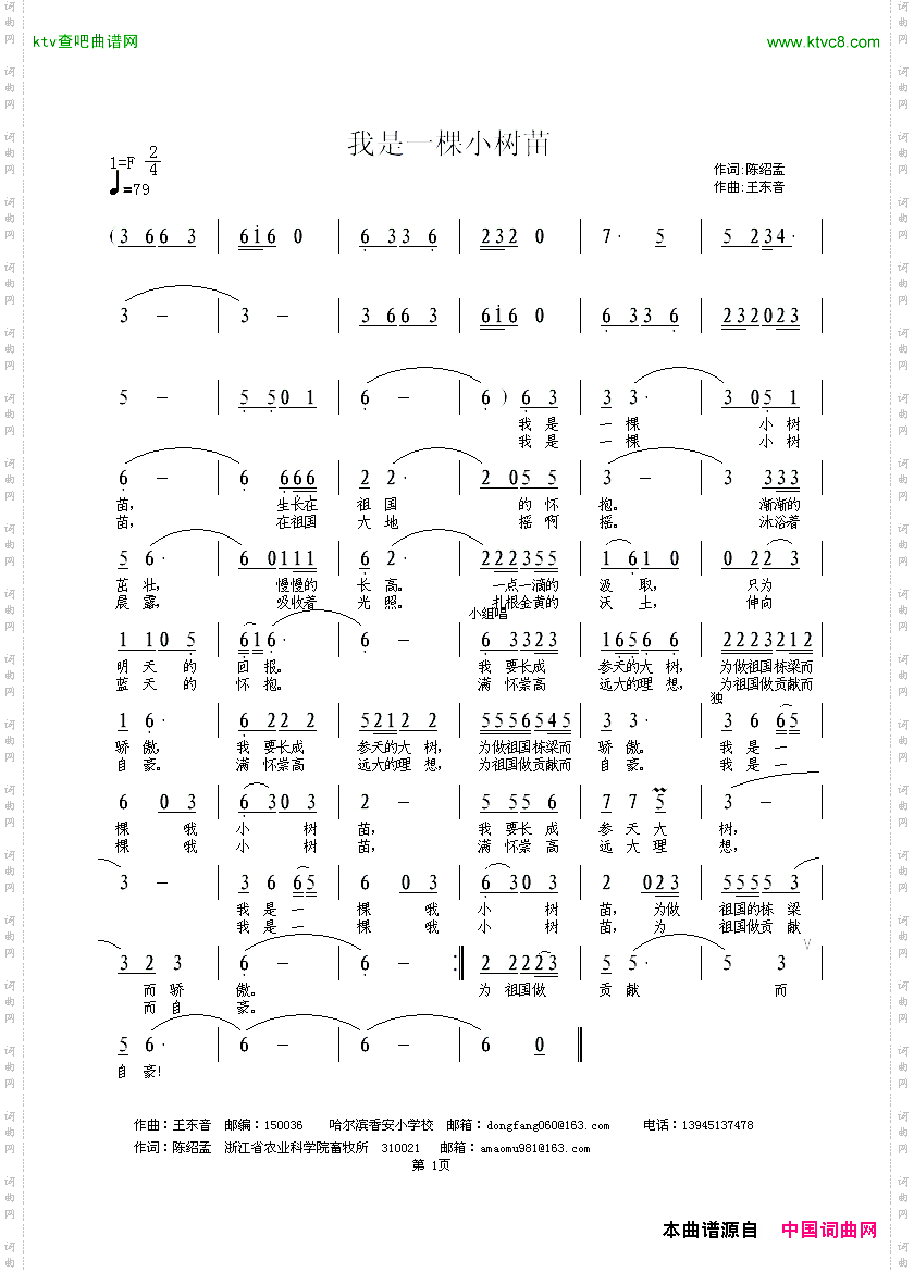 我是一棵小树苗