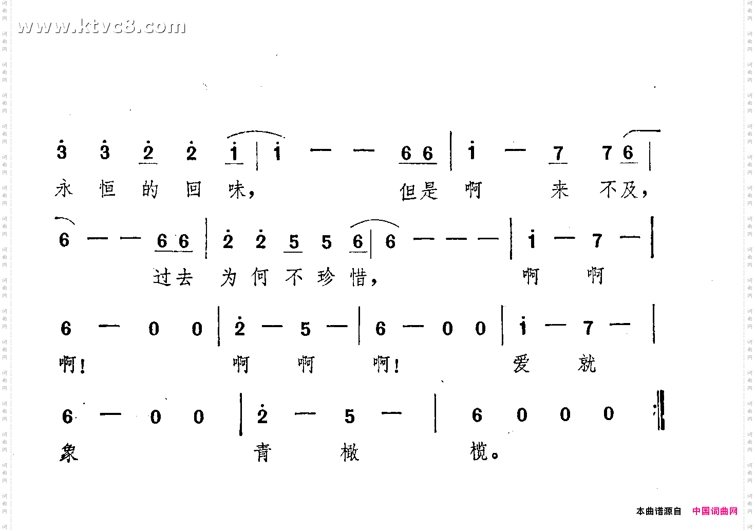 爱象青橄榄