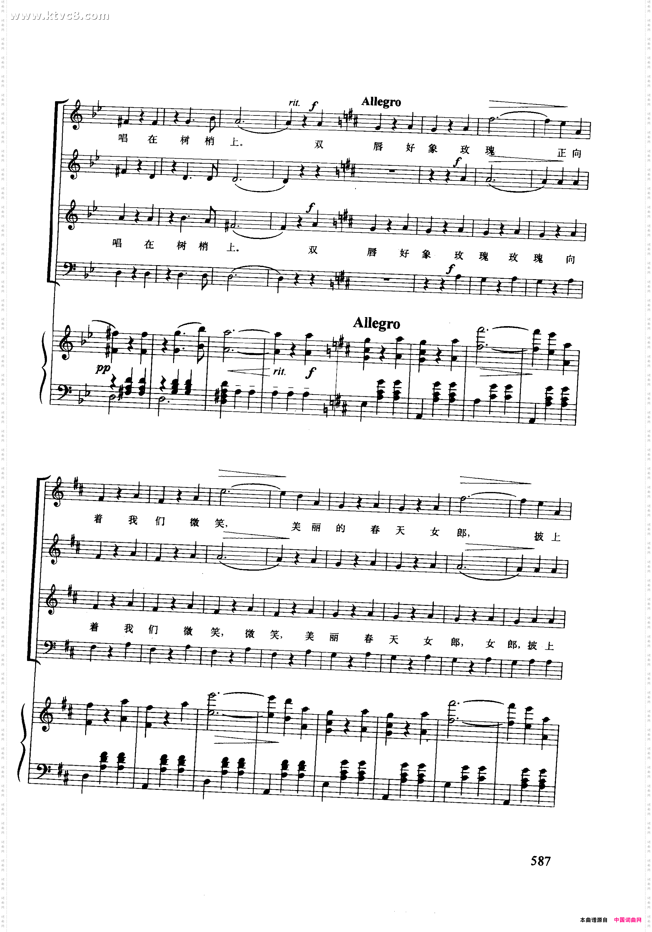 蓝色的多瑙河正谱