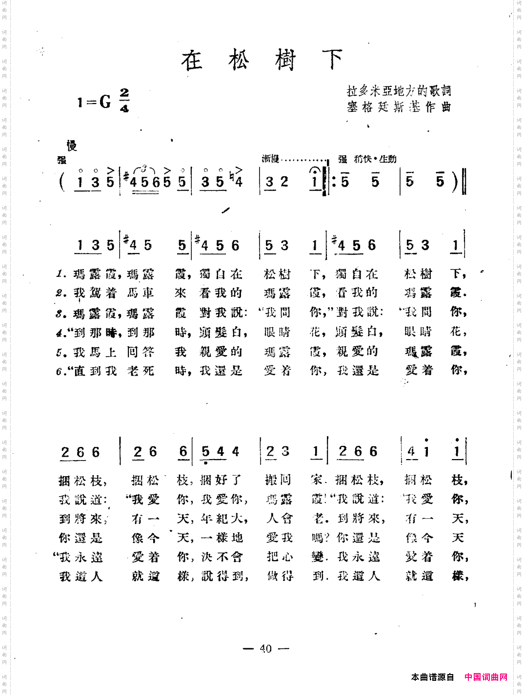 在松树下