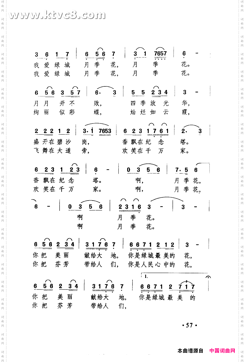我爱绿城月季花